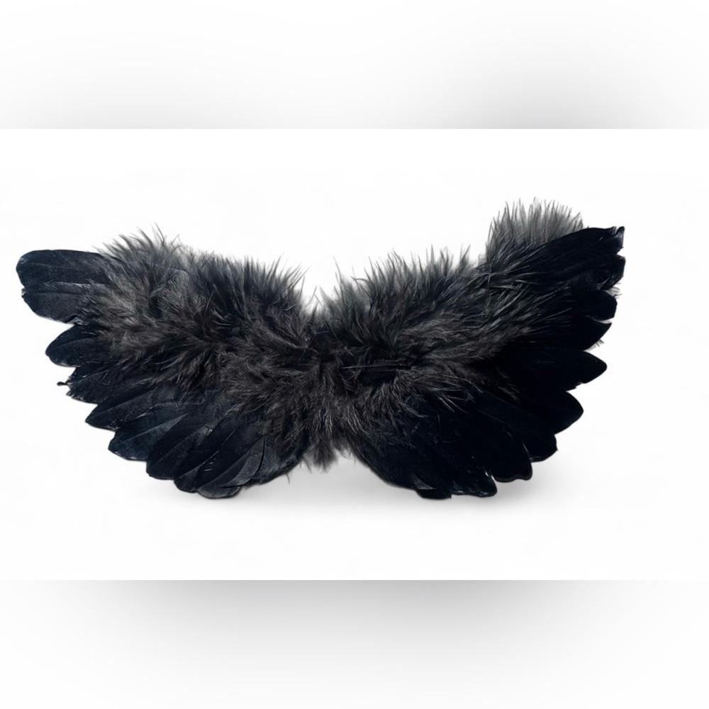 Labubu Black Angel Wings - Fits Standard Labubu Figures (Ex:Big Energy)